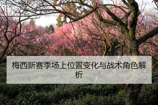 梅西新赛季场上位置变化与战术角色解析